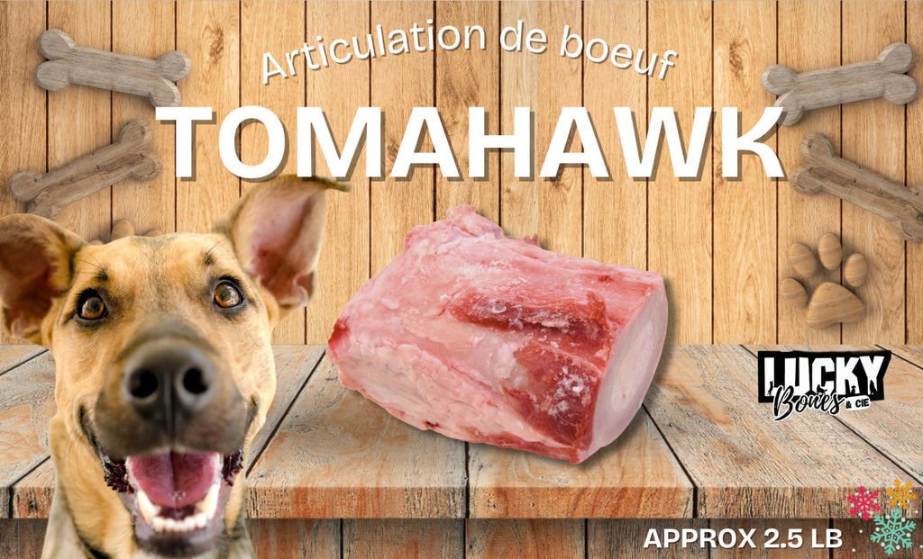 TOMAHAWK & SLINGSHOT - RAW BEEF JOINT