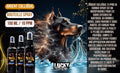EAR CLEANER WITH COLLOIDAL SILVER 220 ML