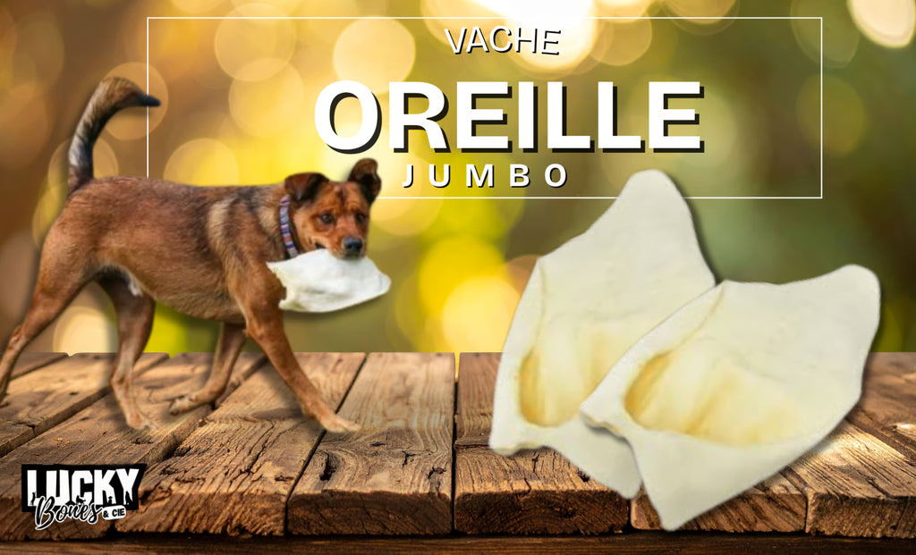 JUMBO Cow Ear / Oreille de Vache JUMBO