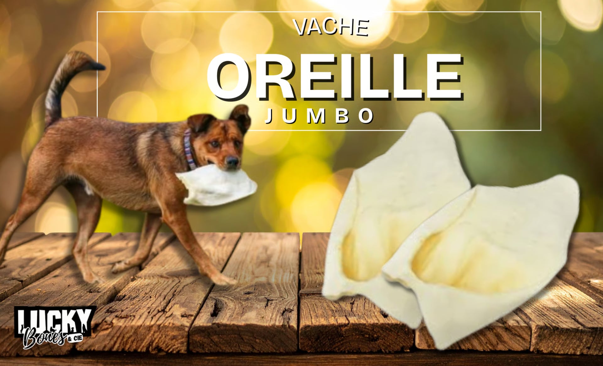 JUMBO Cow Ear / Oreille de Vache JUMBO