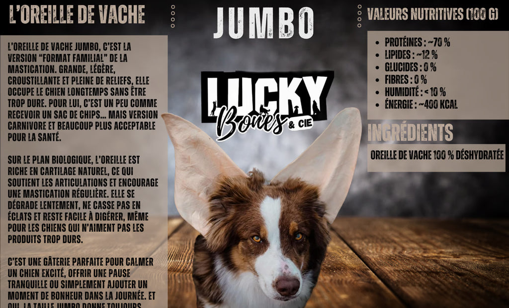 JUMBO Cow Ear / Oreille de Vache JUMBO