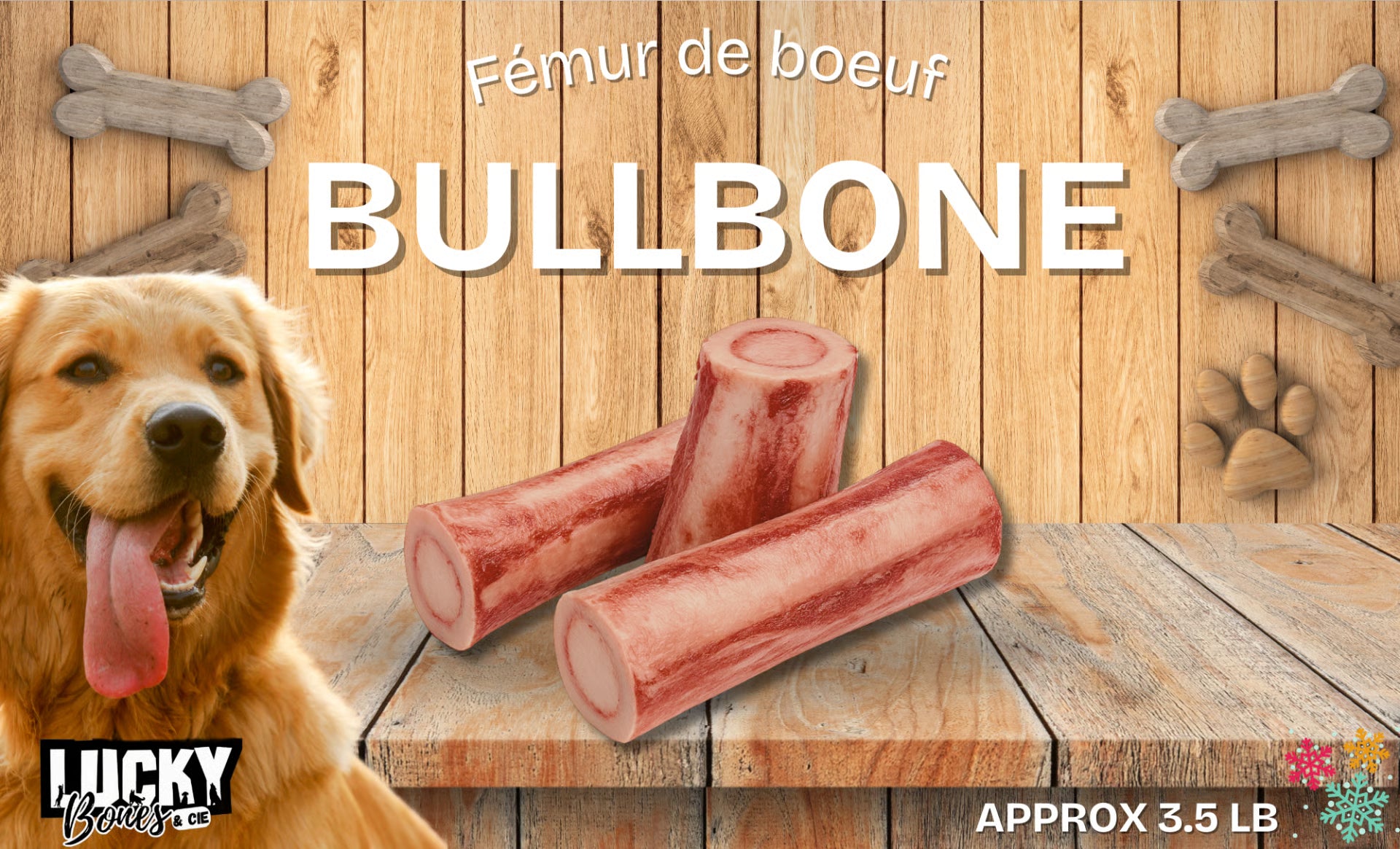 BULLBONES LARGE - FEMURS DE BEOUF 3.5 LBS