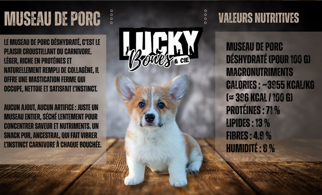 HOG MUZZLE / NEZ DE PORC FUMEE