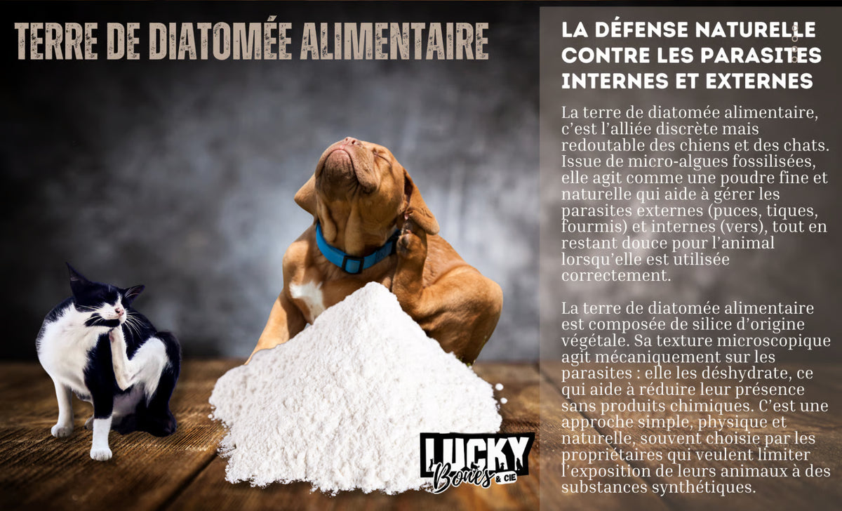 PHARMA diatomaceous earth
