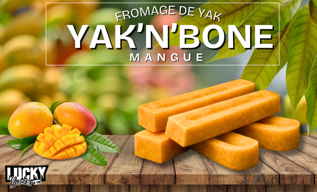 Yak N Bones - Multiple falvors to choose from